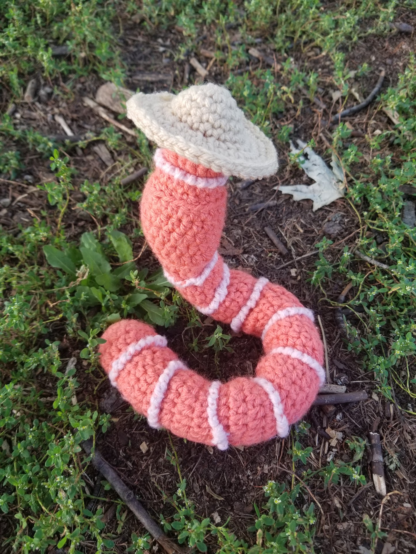 Dress Up Worm With Funny Hats Crochet Pattern