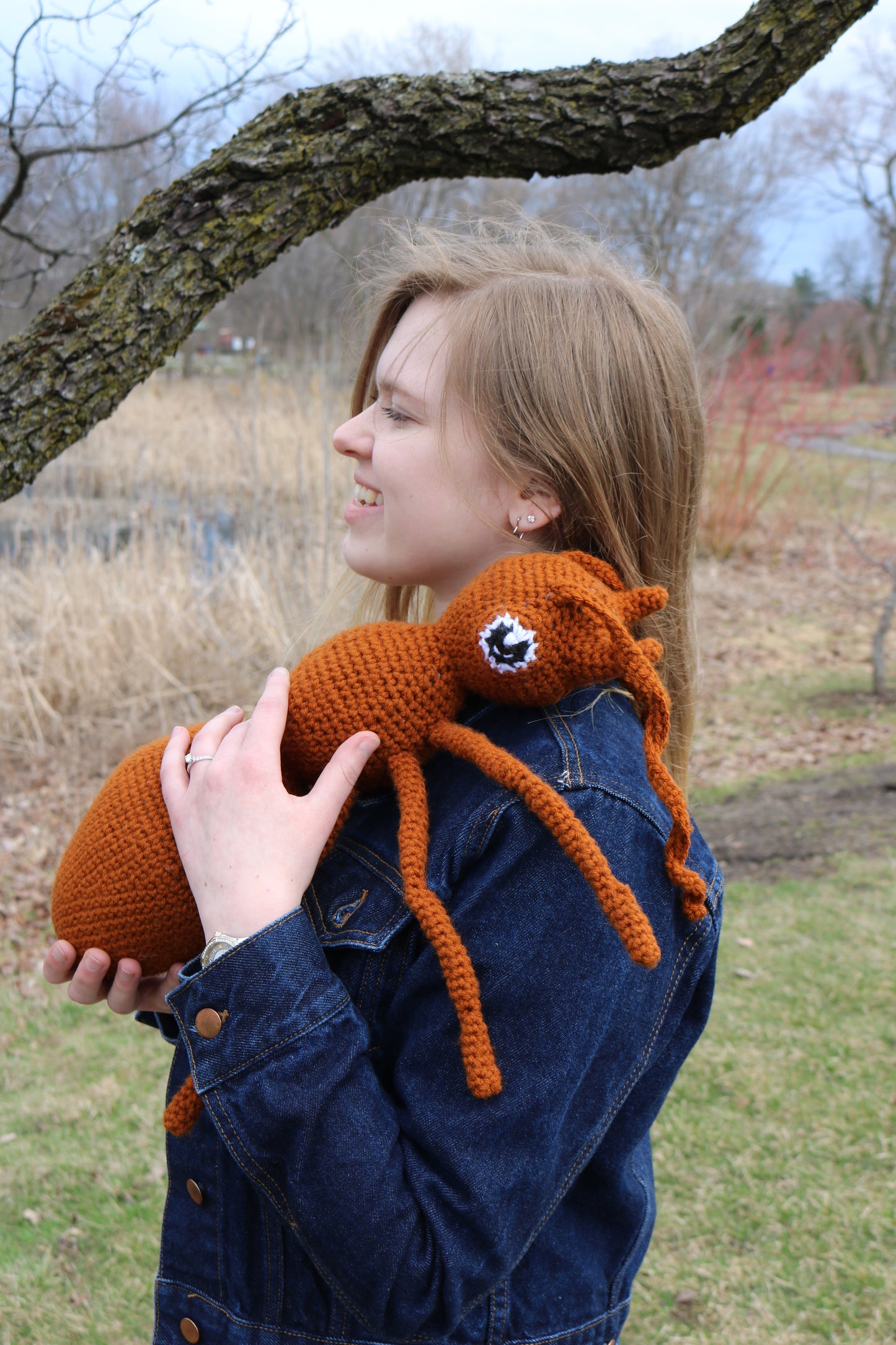 Sage The Ant Crochet Pattern