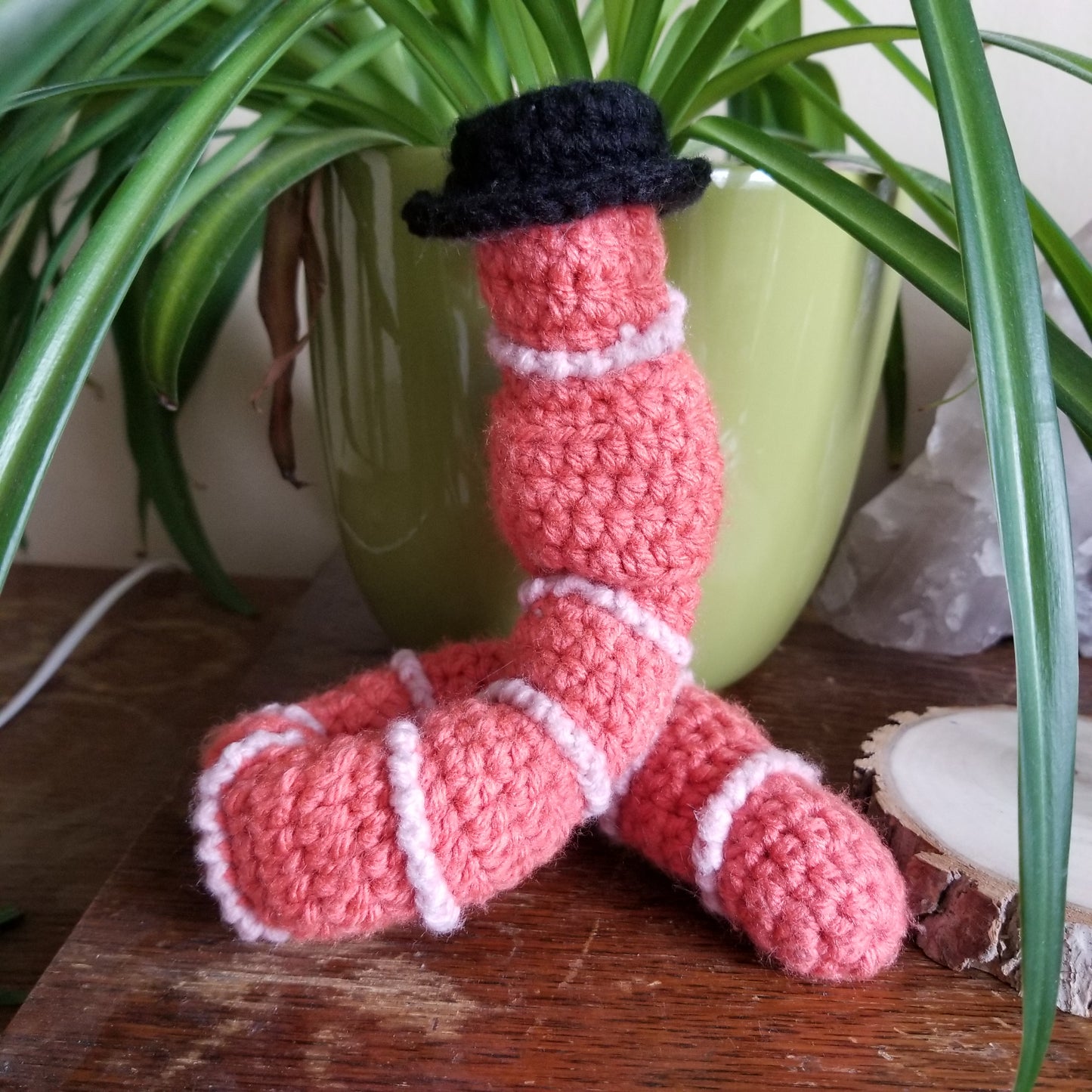 Dress Up Worm With Funny Hats Crochet Pattern