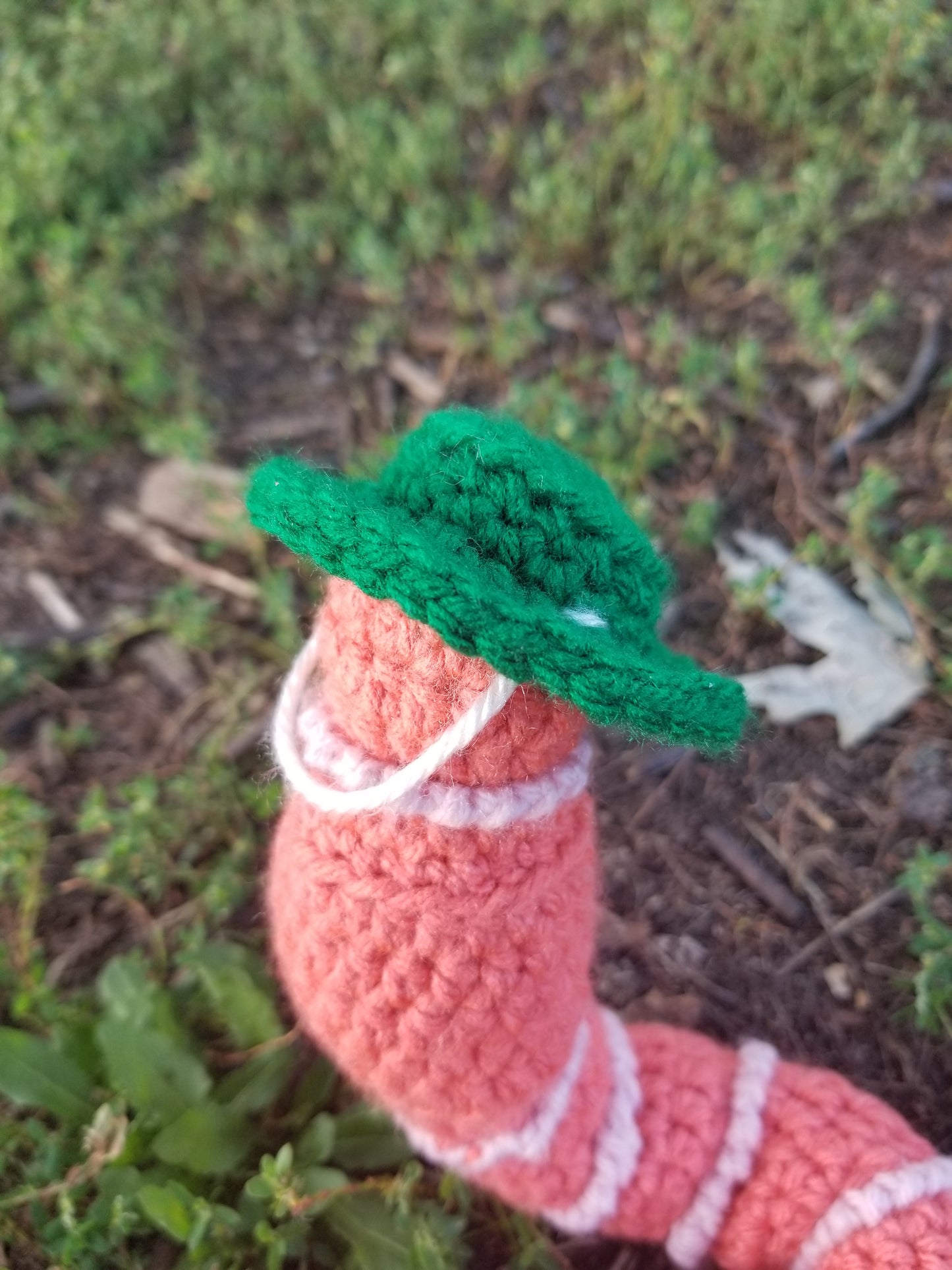 Dress Up Worm With Funny Hats Crochet Pattern