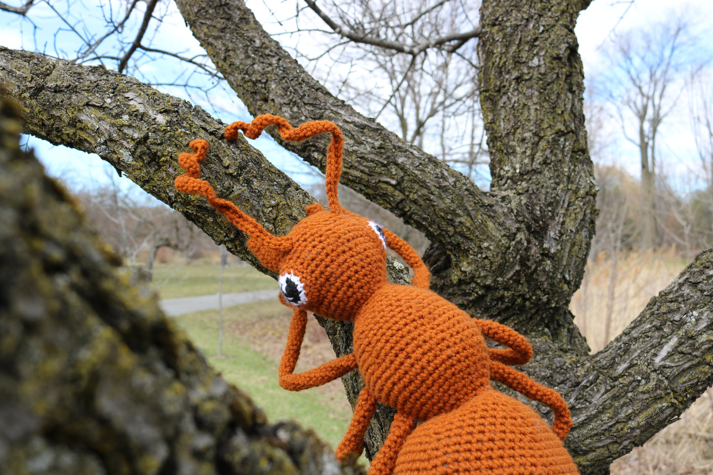 Sage The Ant Crochet Pattern