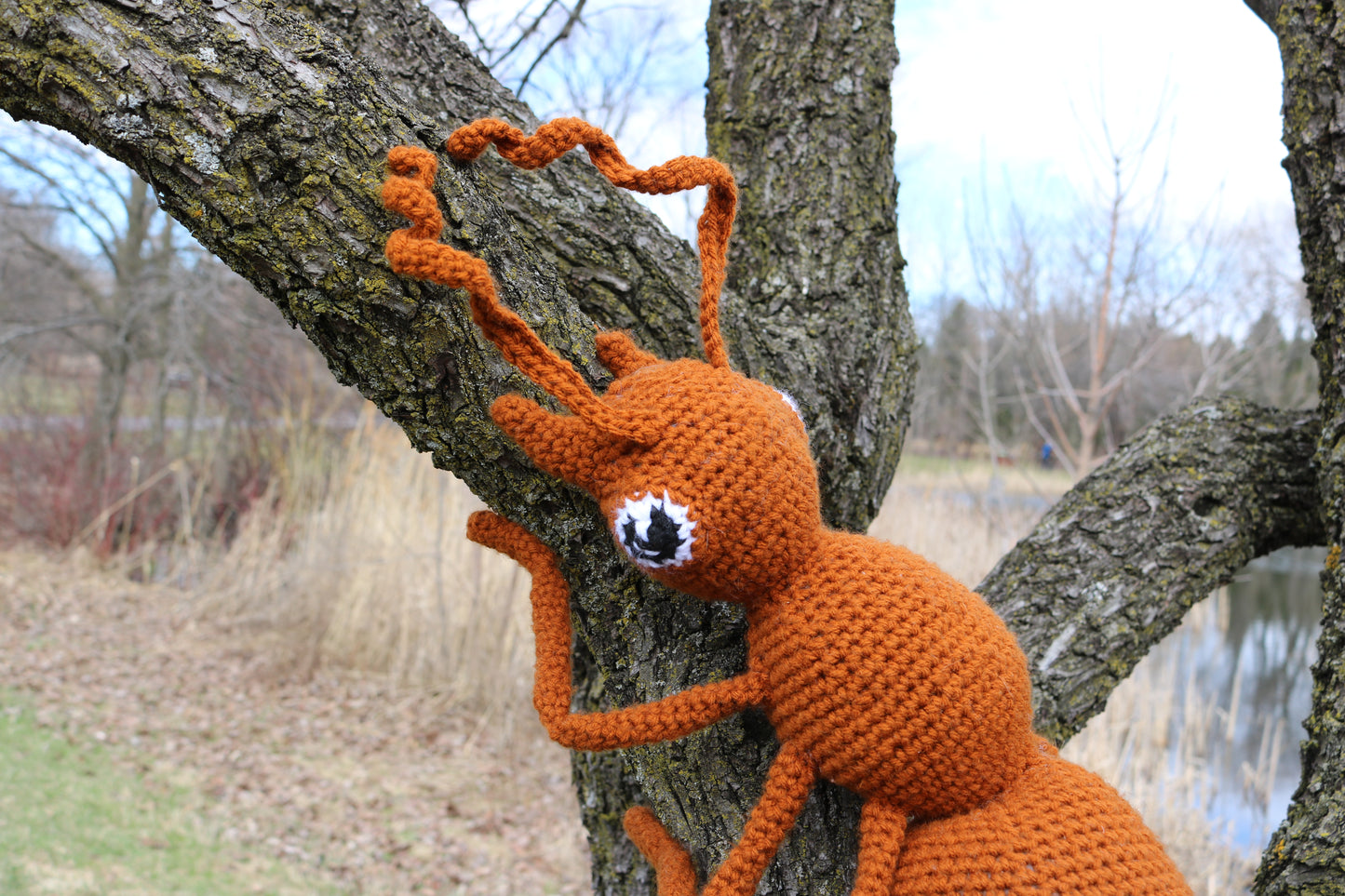 Sage The Ant Crochet Pattern