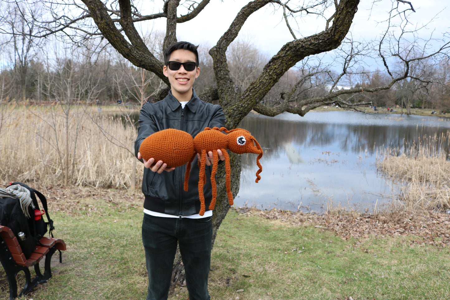Sage The Ant Crochet Pattern